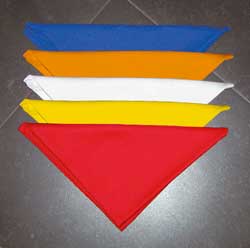 Kochhalstuch weiss und Farben